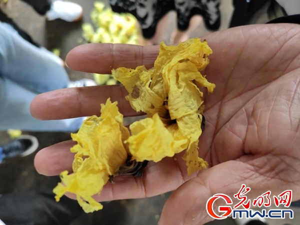 【网聚美好安徽】合肥庐江盆形村：“两朵花”铺就致富路