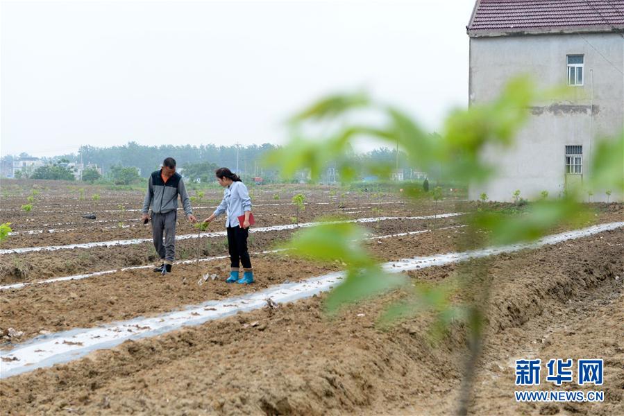 ï¼ä»£è¡¨å§åå±¥èï¼ï¼1ï¼å¨å½äººå¤§ä»£è¡¨çèèï¼äº§ä¸å´æºè®©ä¹¡ææ¯å´æ´æåºæ°