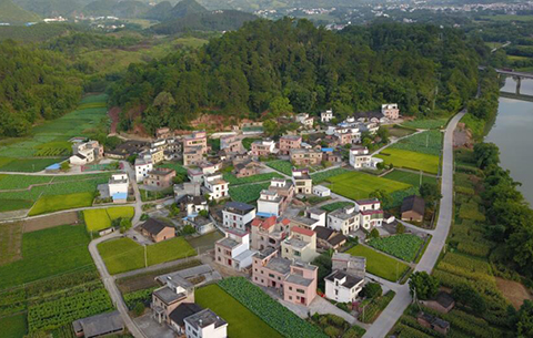 【喜迎党代会  皖美这五年】一位“90后”眼中的乡村振兴路