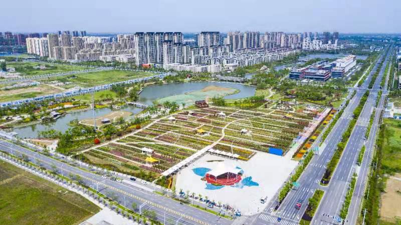 【喜迎党代会 皖美这五年】 “看到的阜阳”与“听到的阜阳”一样好